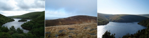 Dartmoor Dartmoor
